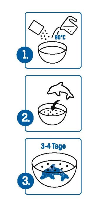 PhänoMINT Funkelnde Kristalltiere züchten