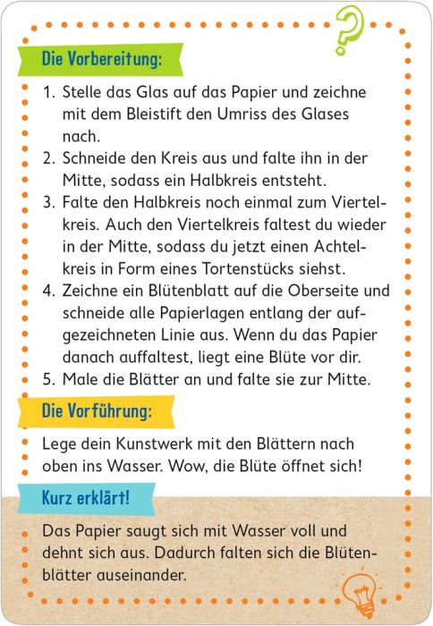 PhänoMINT 75 supercoole Show-Experimente