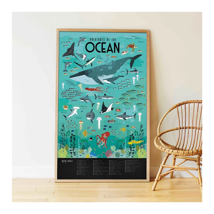 Sticker Lernposter Ozean