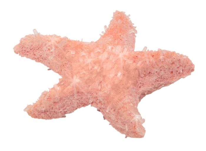 PhänoMINT Funkelnde Kristalltiere züchten