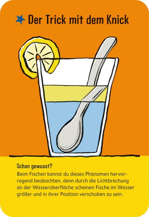 PhänoMINT - 75 supercoole optische Illusionen