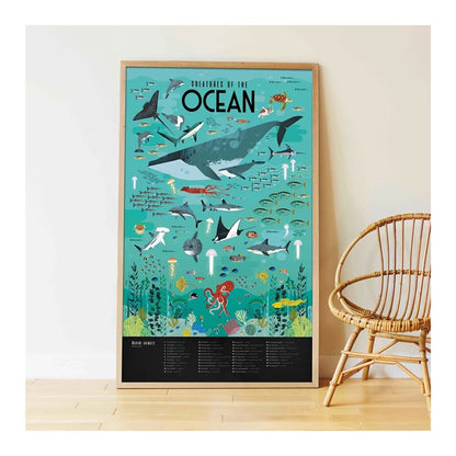 Sticker Lernposter Ozean