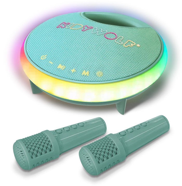 Bluetooth Karaoke Lautsprecher